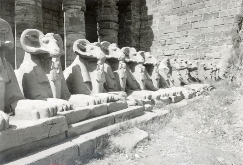 Ancient Thebes and its Necropolis