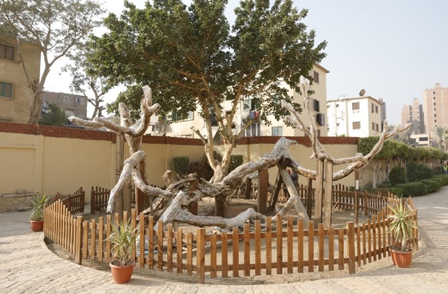 Mary’s Tree