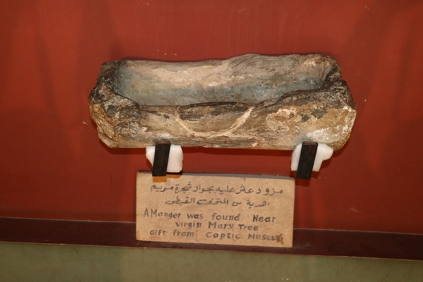 Amanger was found near virgin marry tree