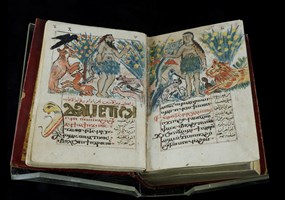 Illustrated manuscript