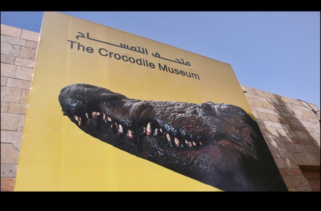 Crocodile Museum