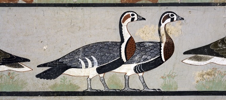 The Meidum Geese