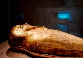 Nejim Ankh coffin