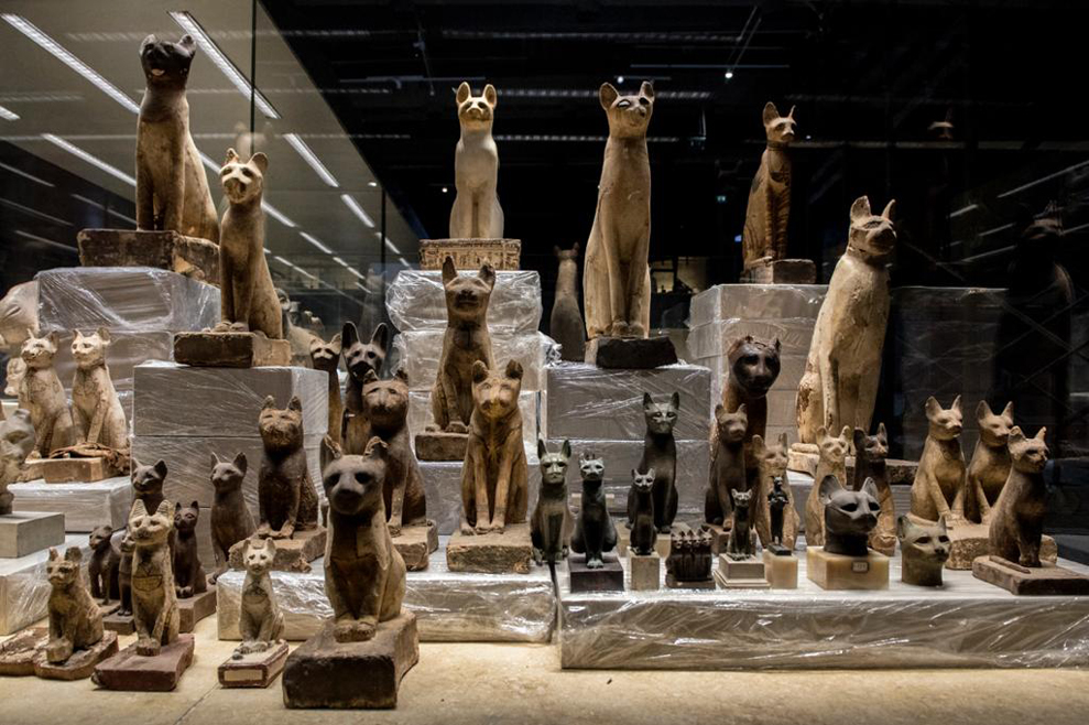 Cats