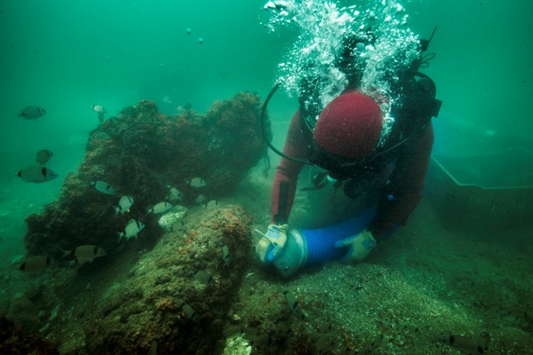 Discovery the Sunken Treasure