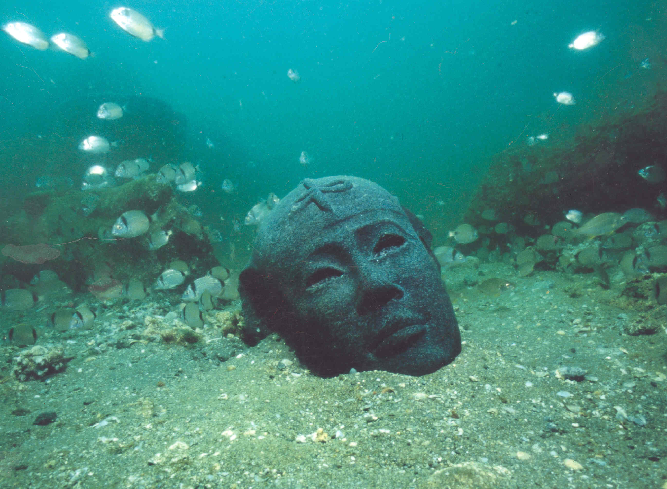 Head of Diorite