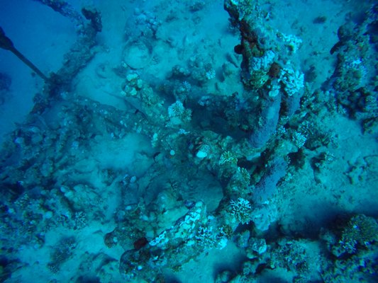 Anchor
