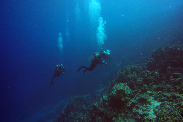 Discovery the Sunken Treasure