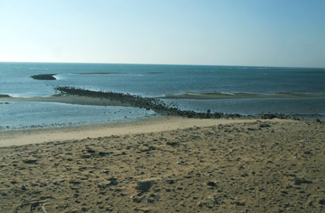Wadi Al Jarf Port