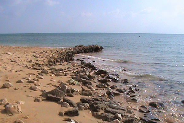 Wadi Al - Jarf Port